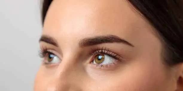 Brow Lamination & Brow Wax with Optional Tint