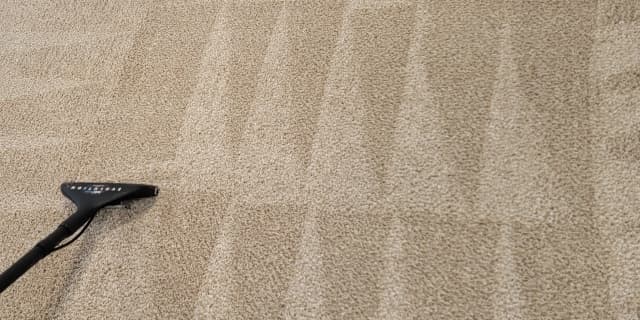 3 Rooms of Green Carpet Cleaning!