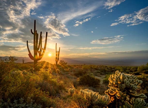 4-10 Hikers (Price Per Hiker, Must Book at least 4 Hikers)