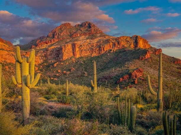 4-10 Hikers (Price Per Hiker, Must Book at least 4 Hikers)