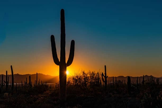 4-10 Hikers (Price Per Hiker, Must Book at least 4 Hikers)