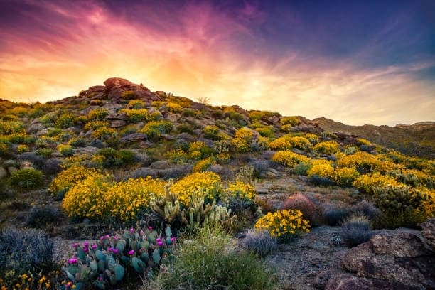 2-3 Hikers (Price Per Hiker, Must Book Two or Three Hikers)