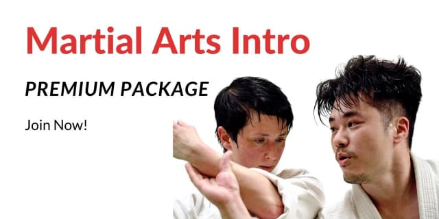 Adults Intro 4-Week Course with Ongoing Option - Premium (Course Only)