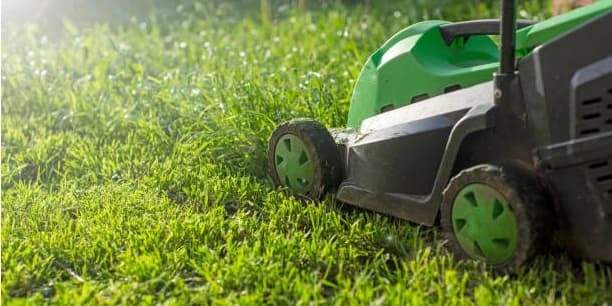Lawn Care - Large