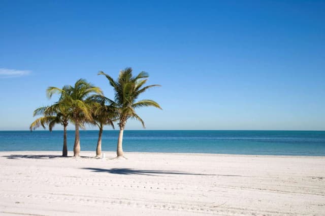Self-Guided Driving Bundle of Florida Tours (6 tours)