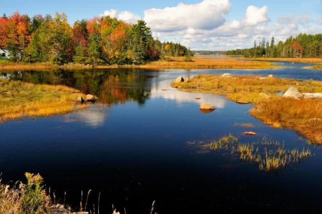Bar Harbor Tour: Self-Guided Walk