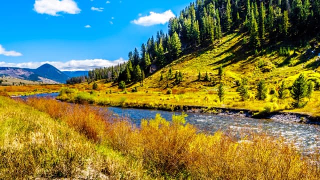 Big Sky Tour: Self-Guided Drive