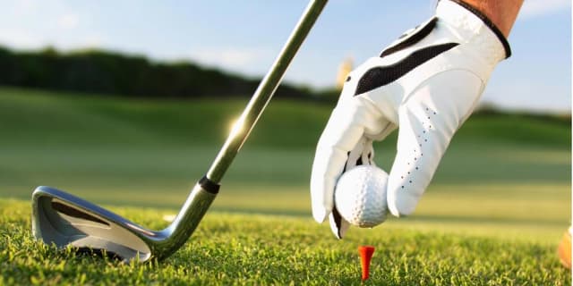 Golf Lessons/Instruction