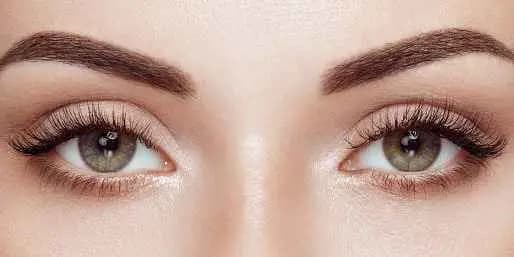 Full Classic Set - Eyelashes