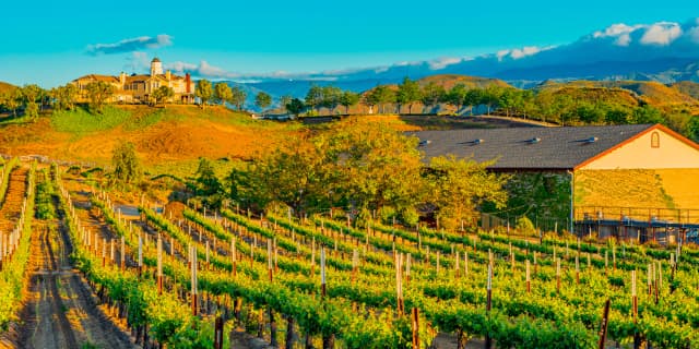Temecula wine tours