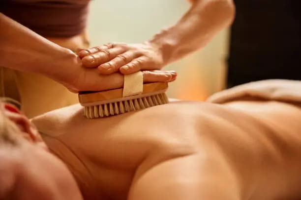 The Back Scratch
