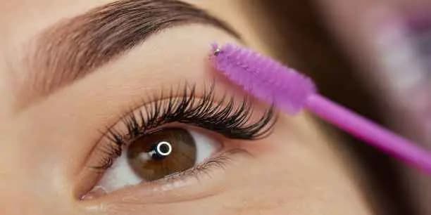 Lash Tint