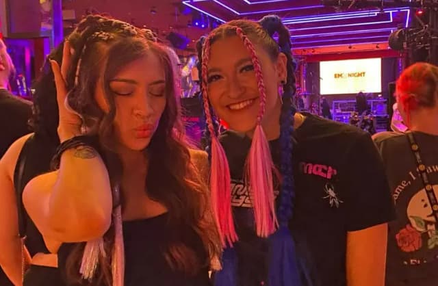 Festival Braids