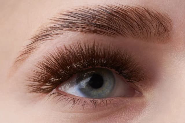 Brow Lamination