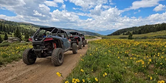 Drive Your Own UTV Tour (up to 4 people)
