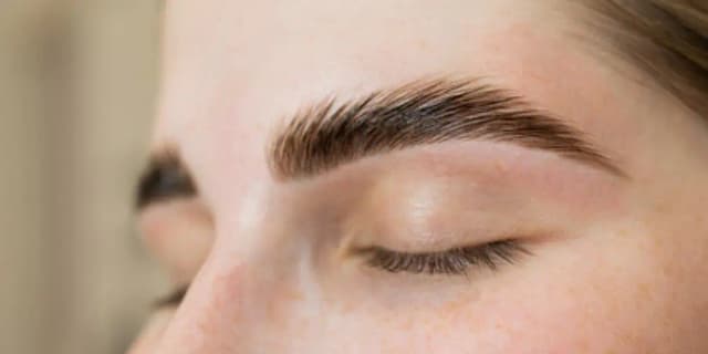 Eyebrow Wax & Lamination