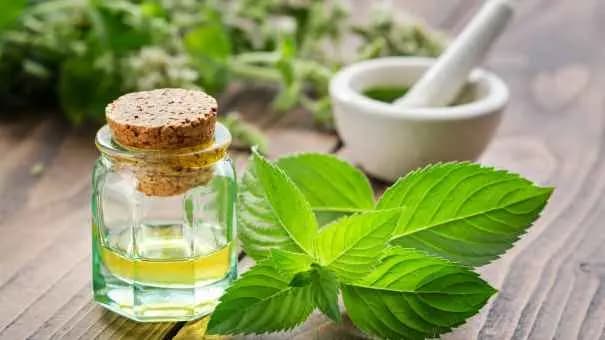 Cool Mint Facial